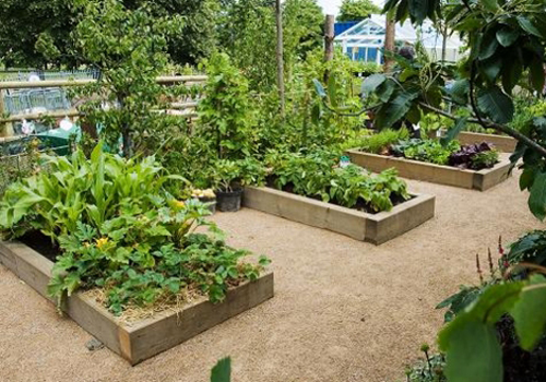 sleeper timber planter boxes to make a garden bed